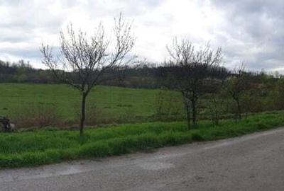 Teren de 2241 mp, în Crivobara - 10