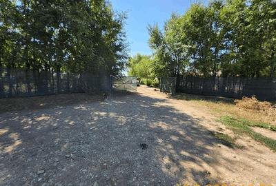 Teren Construcții intravilan de 370 mp, în Frumușani - 8