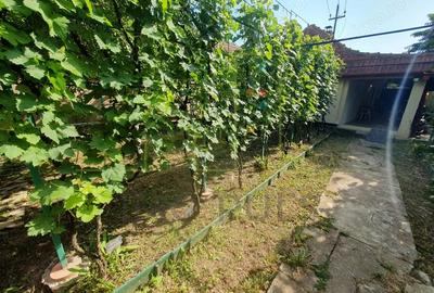 Casă cu 2 camere cu Teren 421 Mp în Plopi - 8