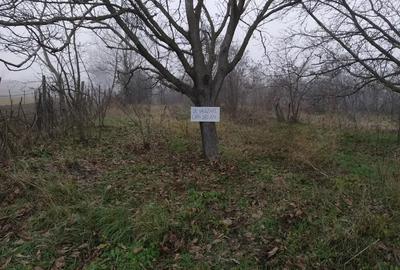 Teren de 1300 mp, în Găgești - 2