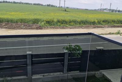 Casă cu 3 camere cu Teren 250 Mp în Balciu - 1