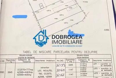 Casă cu 3 camere cu Teren 2205 Mp în Niculițel