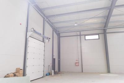 Spațiu comercial, de 1,000 mp, în Mogoșoaia - 2