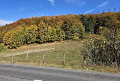 Teren de 5200 mp, în Teliu