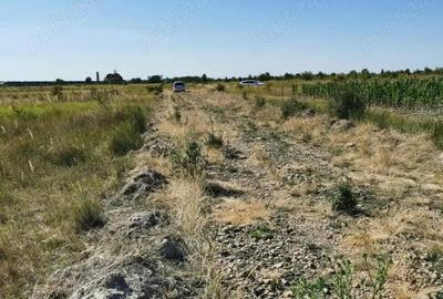Teren de 1000 mp, în Păușa - 1