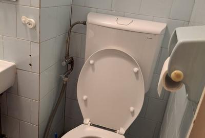 Apartament cu 3 camere semidecomandat în Timișoara