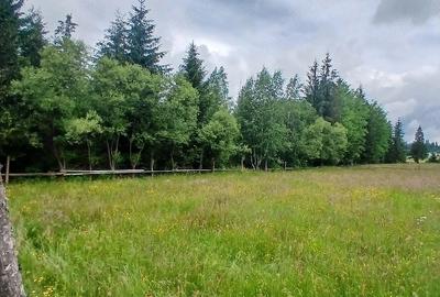 Teren de 6000 mp, în Central - 4