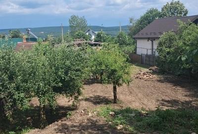 Casă cu 4 camere în Argeșelu - 3
