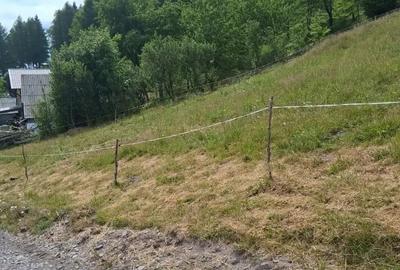 Teren de 8000 mp, în Arieșeni - 3