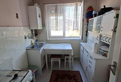 Apartament cu 2 camere semidecomandat în Ultracentral - 4