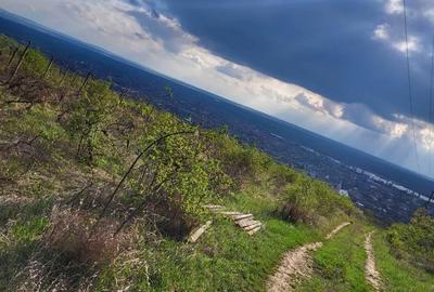 Teren de 3600 mp, în Ghioroc - 5