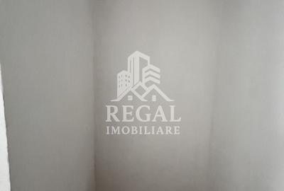 Spațiu comercial, de 21 mp, în Cărpiniș - 3