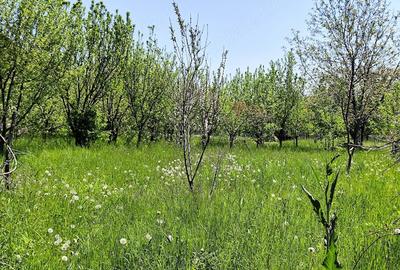 Teren de 1408 mp, în Brebu - 4