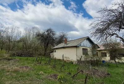 Casă cu 4 camere în Provița de Sus - 13