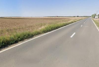 Teren de 10000 mp, în Central