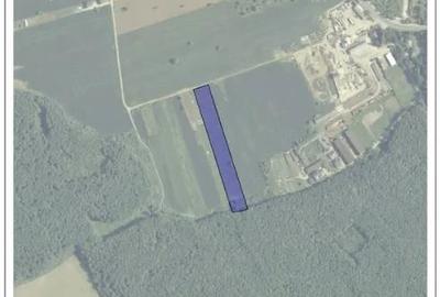 Teren de 9247 mp, în Snagov
