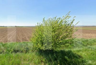 Teren de 6700 mp, în Huțani