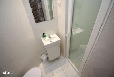 Garsonieră în Cișmigiu