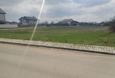 Teren Construcții intravilan de 450 mp, în Dragomirești-Vale - 12
