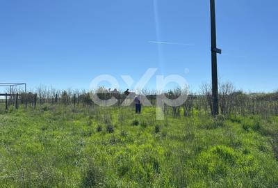Teren agricol extravilan de 500 mp, în Eforie Sud - 2