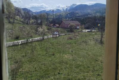 Apartament cu 3 camere decomandat în Jiu-Paroșeni - 4