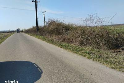 Teren de 37400 mp, în Homoroade - 4