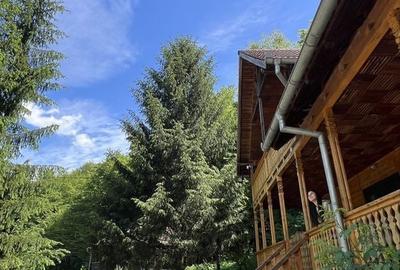 Casă cu 4 camere în Varlaam - 6
