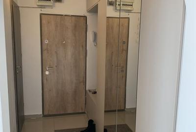Apartament cu 3 camere decomandat, mobilat în Lujerului - 6