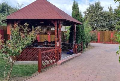 Casă cu 5 camere cu Teren 740 Mp în Mogoșoaia - 6