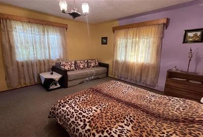Casă individuală cu 3 camere cu Teren 2500 Mp în Ulieș - 31
