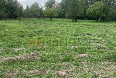 Teren de 8100 mp, în Mărtinești - 3