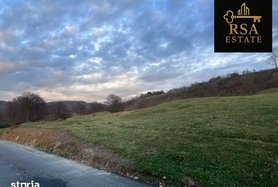 Teren de 2200 mp, în Goranu - 5