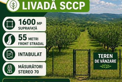 Teren de 1600 mp, în Central