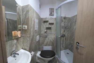 Apartament cu 2 camere semidecomandat în Șagului - 11