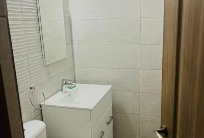 Apartament cu 3 camere decomandat, mobilat în Tătărași - 7