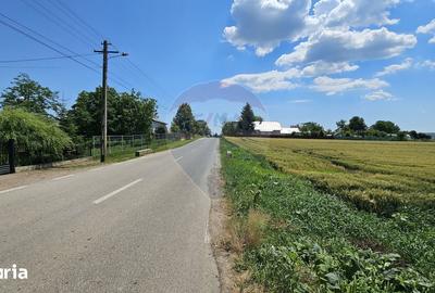 Teren de 15000 mp, în Central - 5