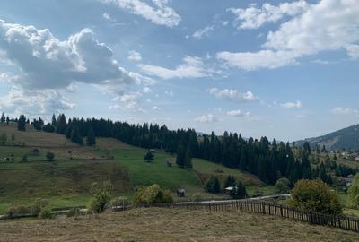 Teren de 7837 mp, în Dorna-Arini - 3