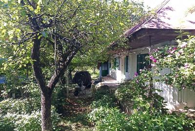 Casă cu 3 camere cu Teren 1800 Mp în Itești - 4