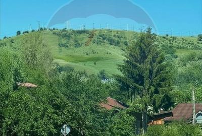 Casă cu 2 camere cu Teren 1000 Mp în Traian