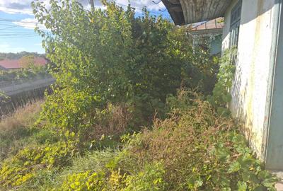 Teren agricol intravilan de 1000 mp, în Proselnici - 5