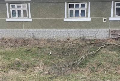 Casă cu 2 camere în Diviciorii Mari - 4