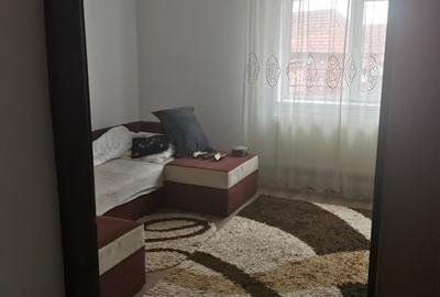 Casă cu 4 camere cu Teren 421 Mp în Valea Cetății