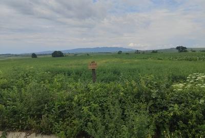 Teren de 7500 mp, în Diocheți-Rediu - 3