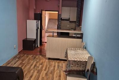 Apartament cu 2 camere semidecomandat în Șega - 1