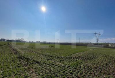 Teren de 7300 mp, în Fălticeni - 1