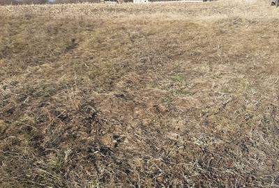 Teren de 3200 mp, în Petreni - 3