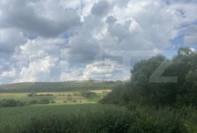 Teren de 7100 mp, în Zăuan - 1