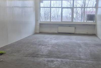 Spațiu industrial, de 360 mp, în Theodor Pallady - 7