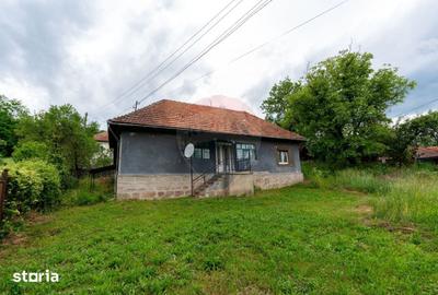 Casă cu 6 camere cu Teren 2143 Mp în Ribița - 9
