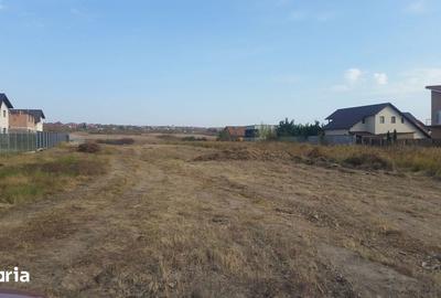 Teren de 8000 mp, în Păulești